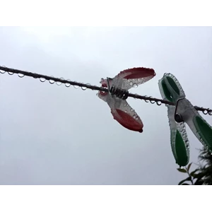 Penangkal Petir 